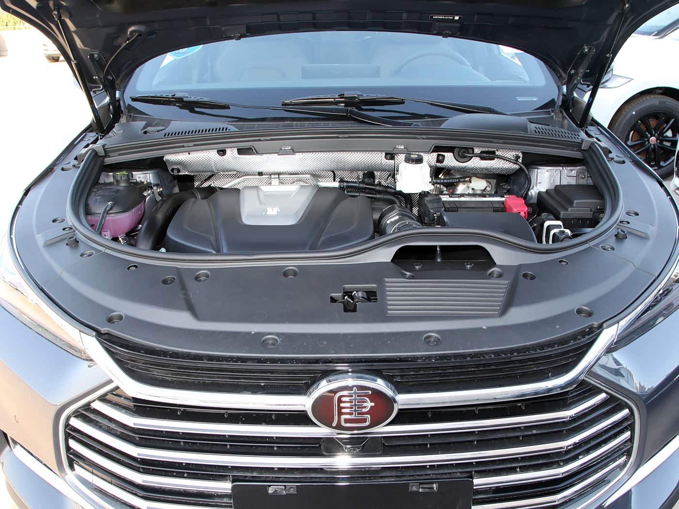 BYD Tang 2026 detail image