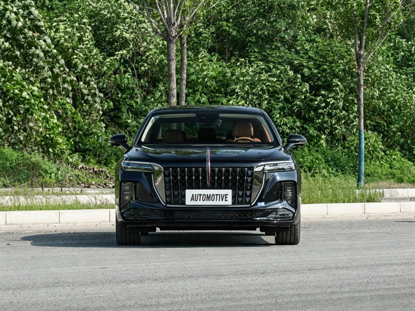 Hongqi H9 2025 image