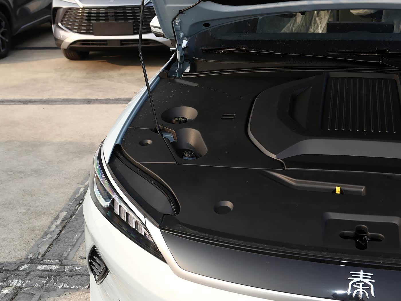 BYD Qin Plus 2026 detail image