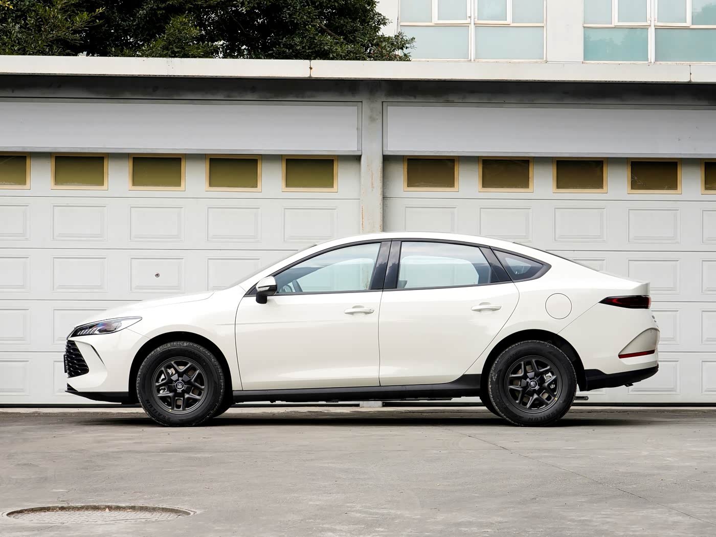 BYD Qin Plus 2026 image