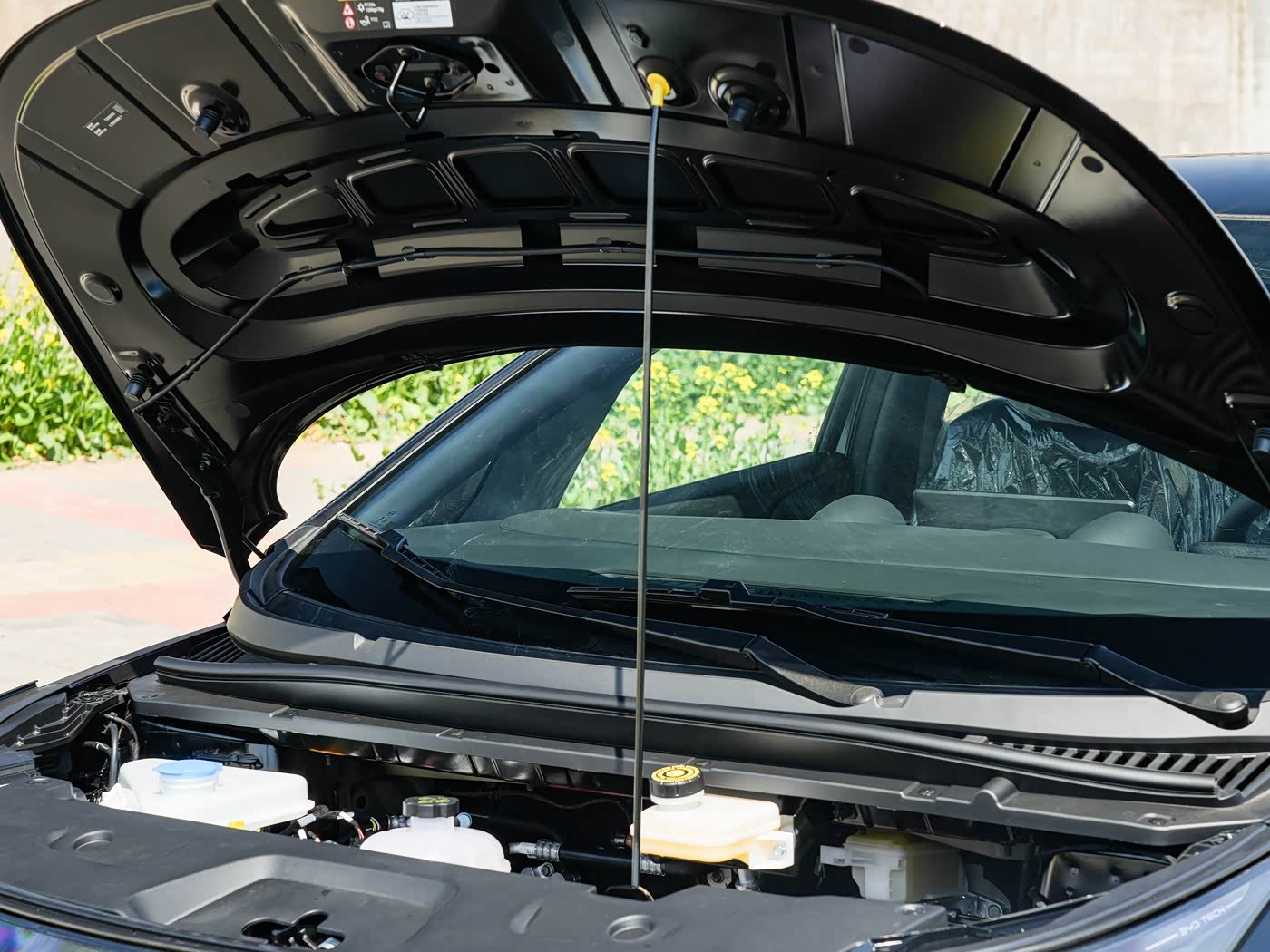 BYD Dolphin 2026 detail image