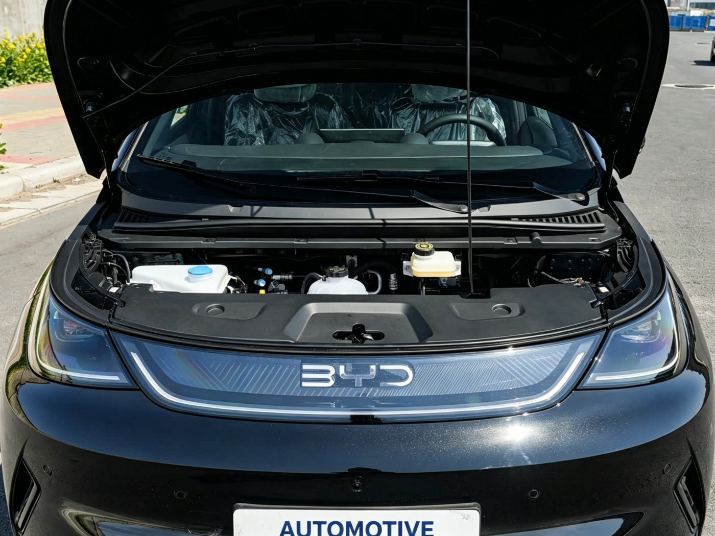 BYD Dolphin 2026 detail image