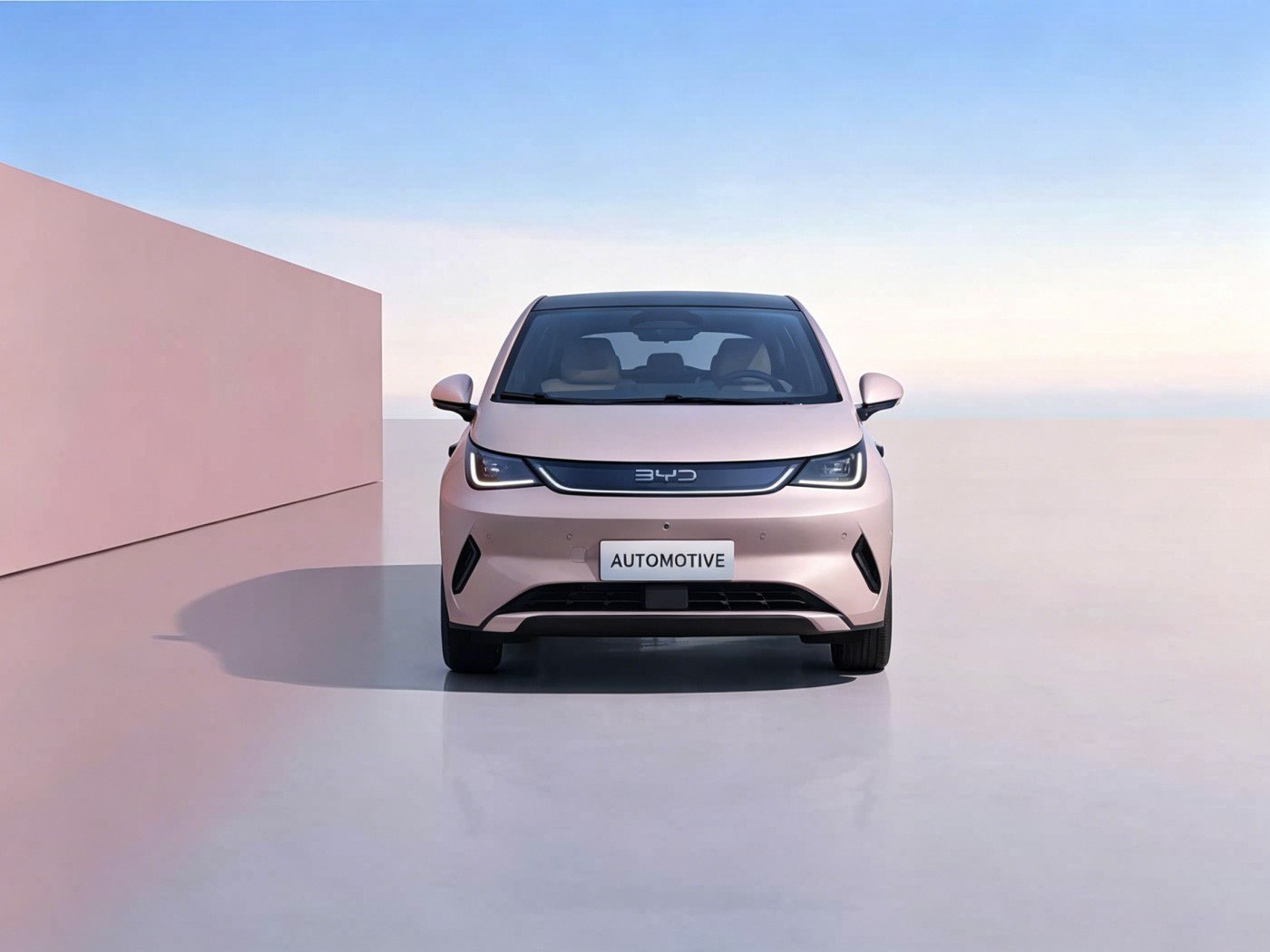 BYD Dolphin 2026 image