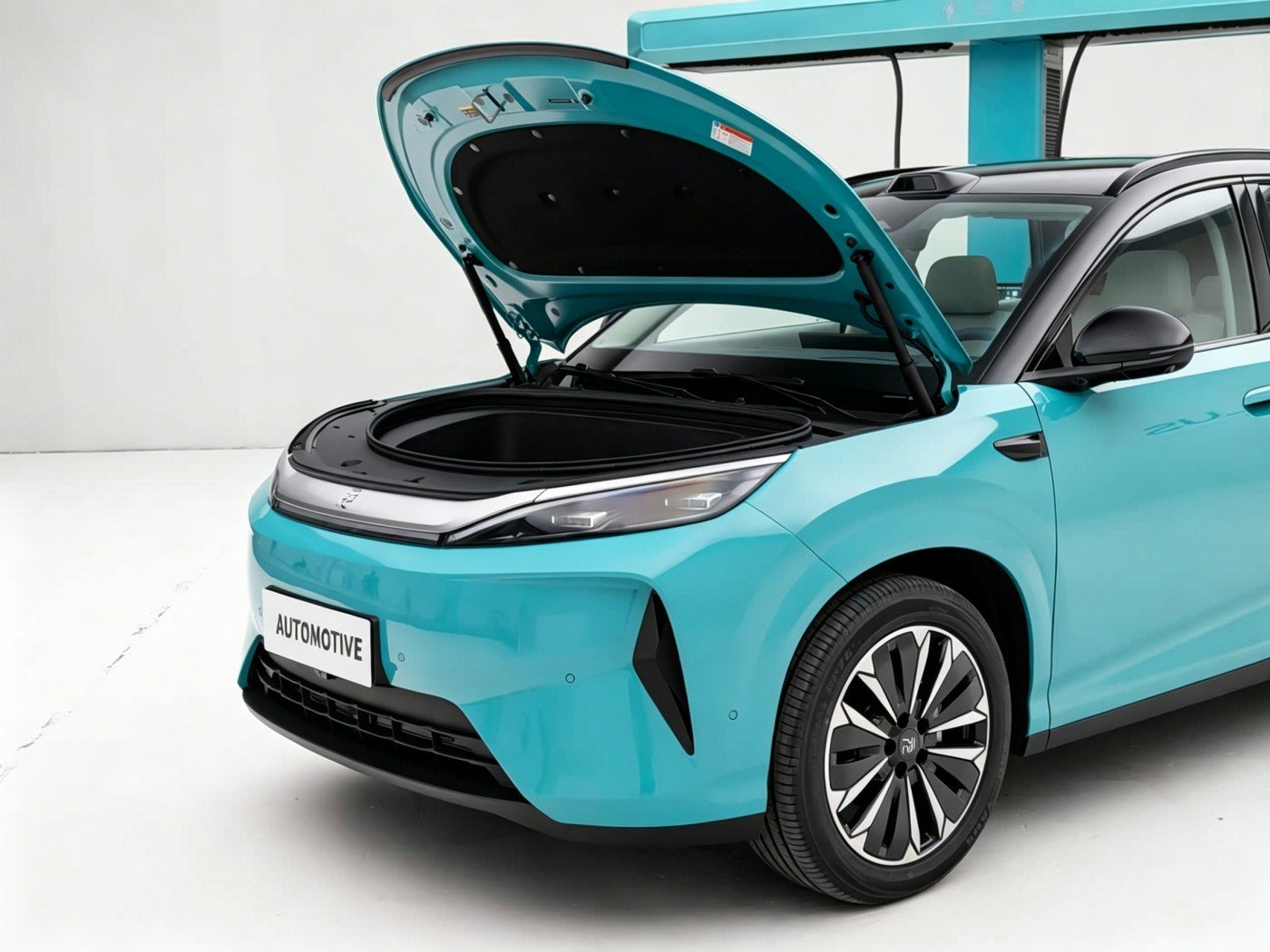 BYD Yuan Plus 2026 detail image