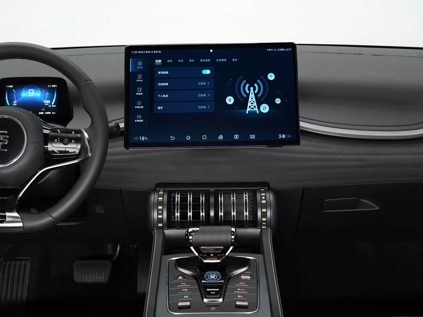 BYD Yuan Plus 2026 detail image