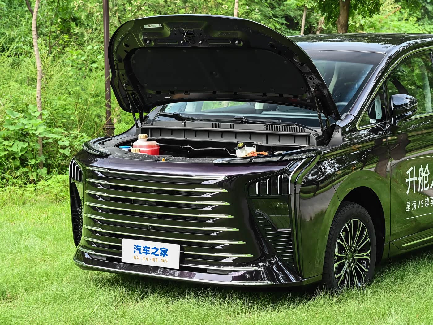 Dongfeng Forthing Xinghai V9 2026 detail image