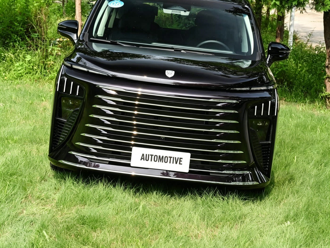 Dongfeng Forthing Xinghai V9 2026 detail image