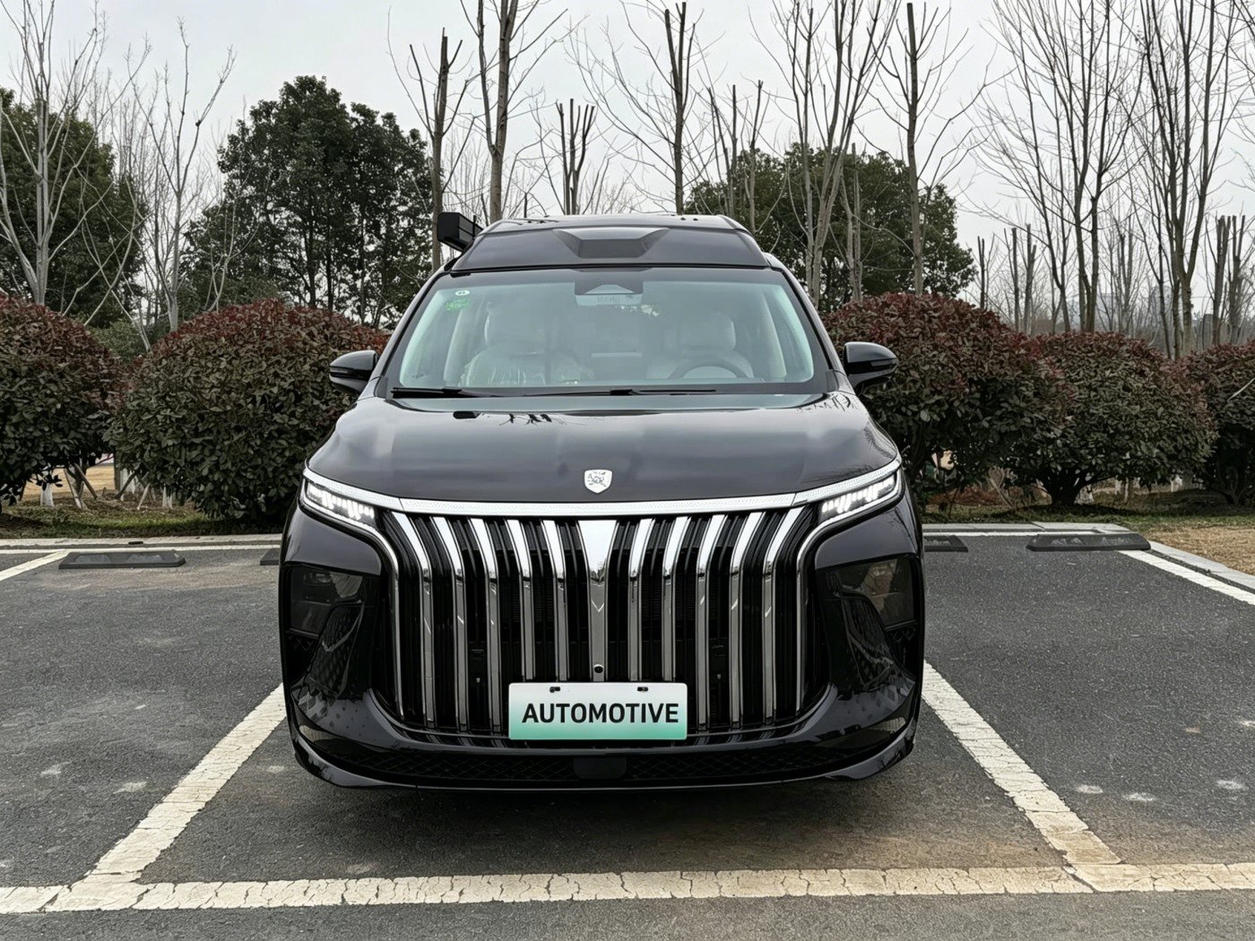Dongfeng Forthing Xinghai V9 2026 image