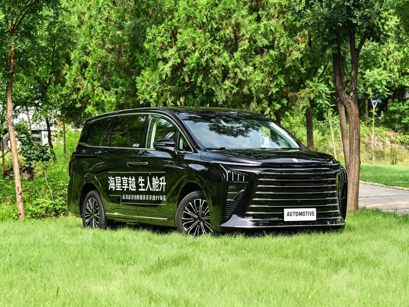 Dongfeng Forthing Xinghai V9 2026 image