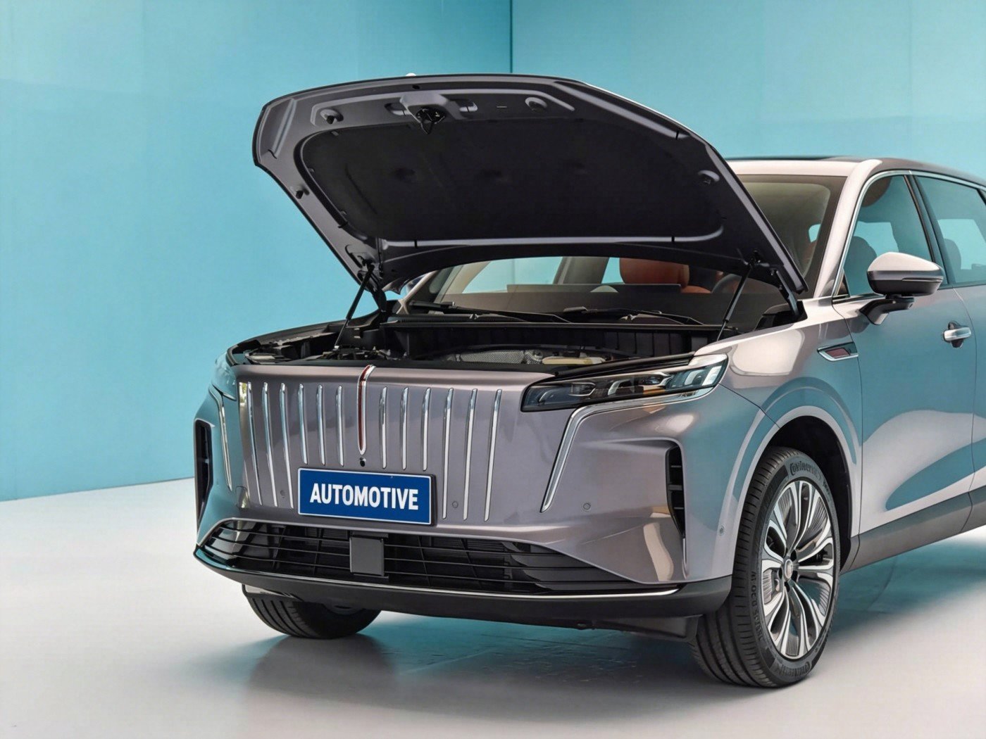 Hongqi HS6 2026 detail image